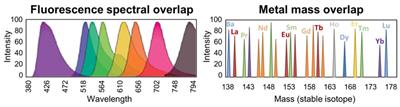 Mass Cytometry in Hematologic Malignancies: Research Highlights and Potential Clinical Applications